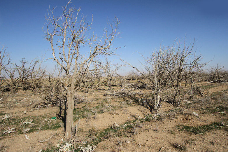 تداوم خشکسالی در خراسان جنوبی/ آب در برخی روستاها جیره‌بندی شد